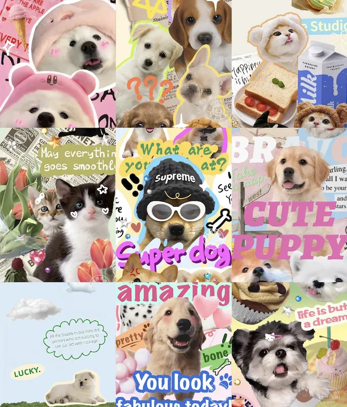 A collage of happy pets